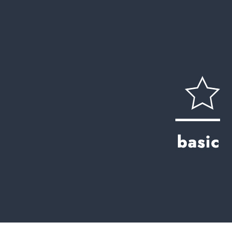 bonusmiles Status-Level | Basic
